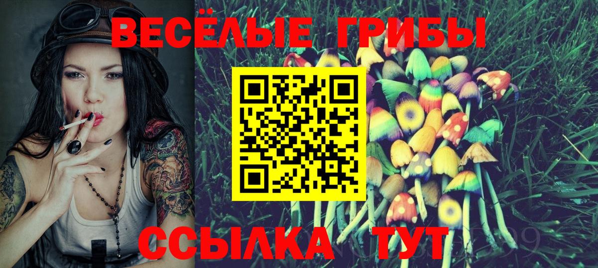 Тольятти  Псилоцибиновые грибы мицелий  Вход с VPN 