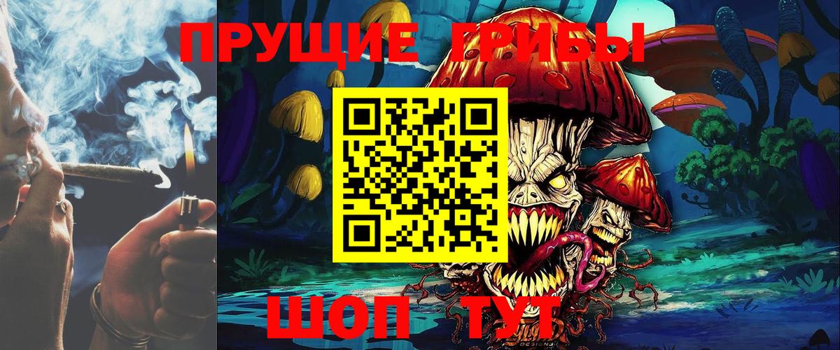 Псилоцибиновые грибы GOLDEN TEACHER Тольятти